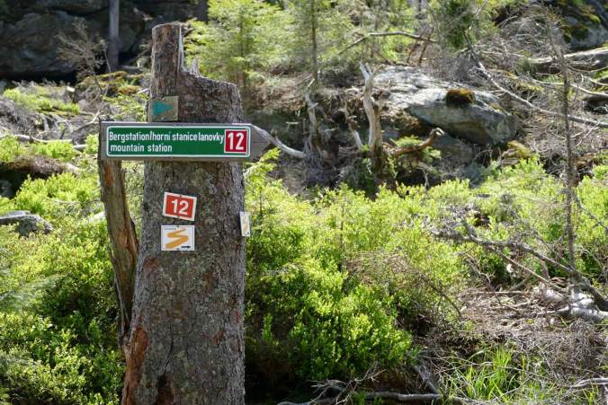 Die Wegbeschilderung war wirklich sehr gut, so dass ich nicht auf komoot zurückgreifen musste