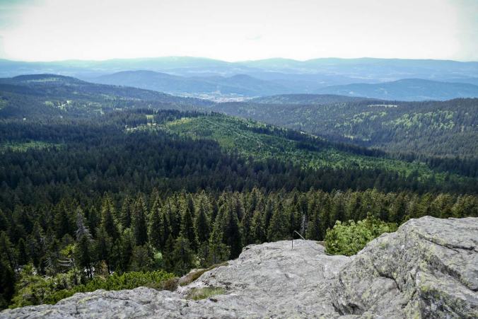 Der Blick vom Gipfel nach unten ins Waldmeer des Bayerischen Waldes