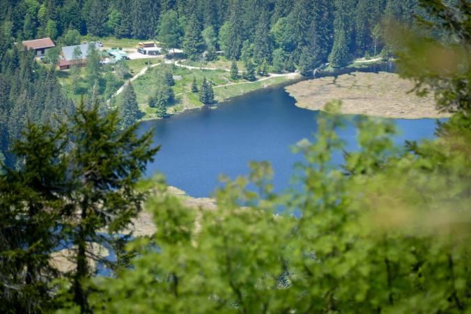 Der kleine Arbersee von oben
