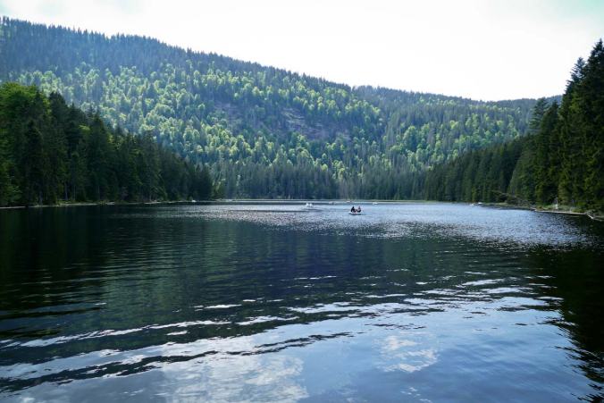 Tretboote auf dem großen Arbersee