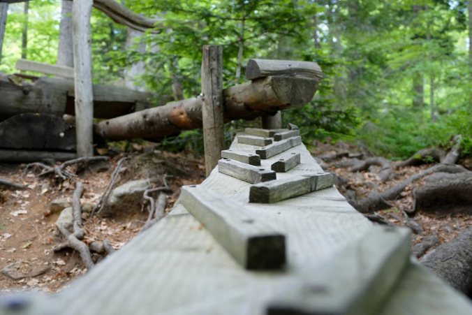 Die Waldkugelbahn hat den Kindern viel Freude bereitet