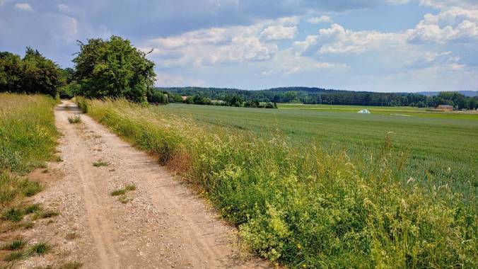 Der Tochter das Telefon hinterherlaufen