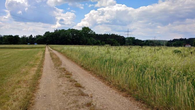 Zum Gießen zum Friedhof gelaufen