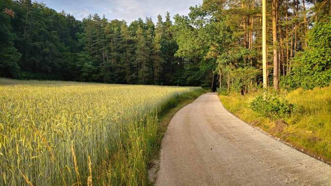 Erst ein halbes Blech Flammkuchen, dann vor dem Duschen noch kurz laufen, damit es sich auch lohnt