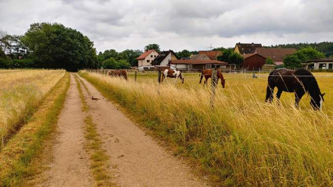 Ein angenehm verregneter 10er in der Mittagspause