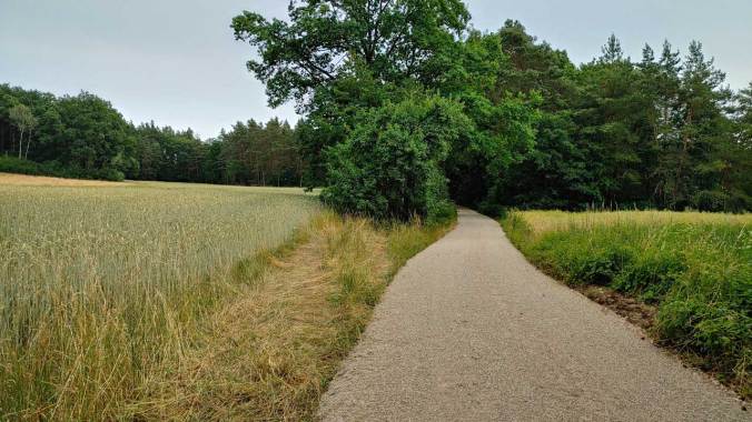 Den Juni schließe ich wohl mit 203 km ab. Bin zufrieden.