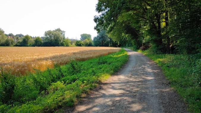 Zu spät aus dem Bett gekommen, deshalb ziemliche Hitzeschlacht
