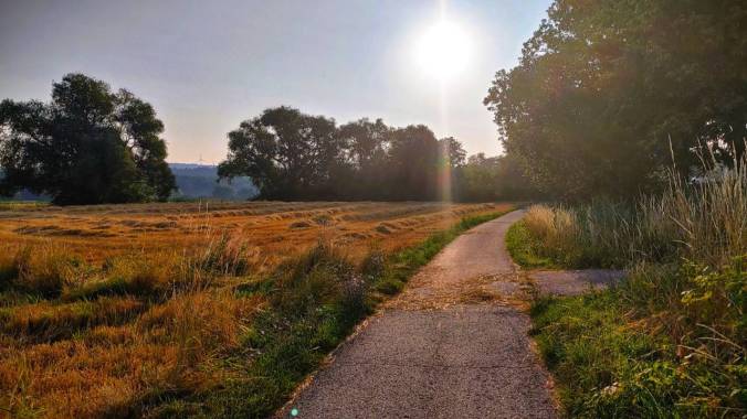Morgenlauf #2 war wieder sehr hart