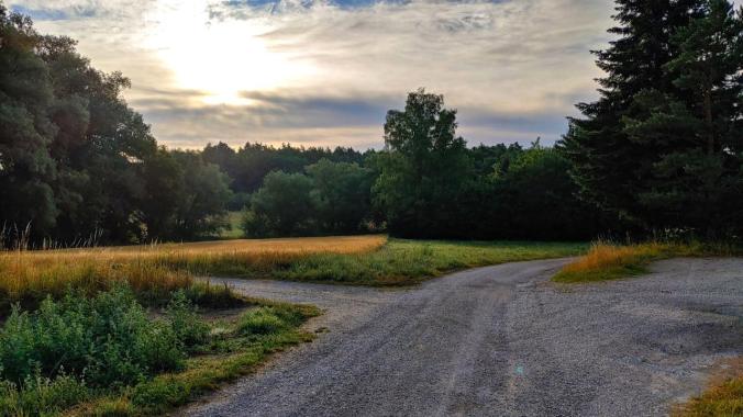 Dritter Morgenlauf diese Woche