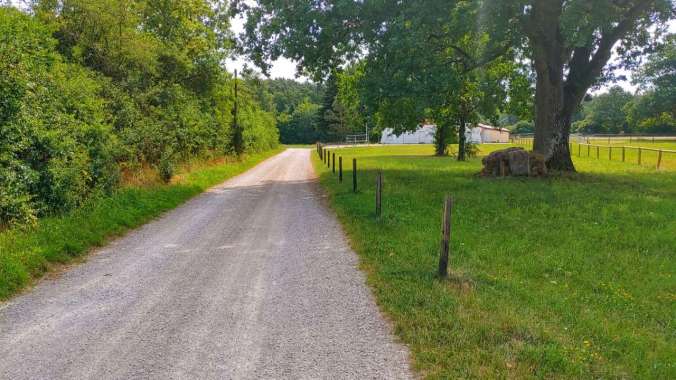 Mal wieder ein heißer Mittagslauf
