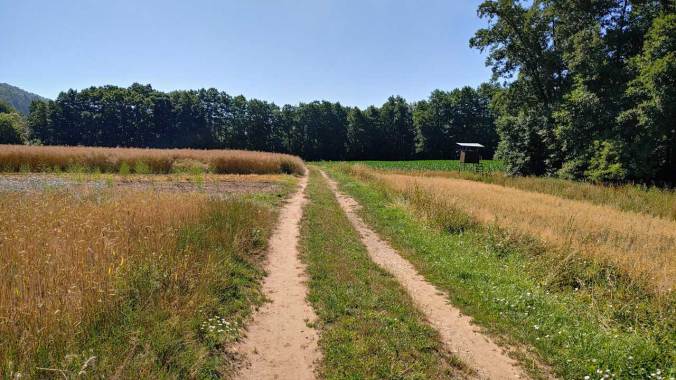 Vor der großen Hitze bei "nur" 28 °C
