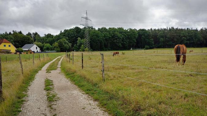 Regenpause für einen entspannten Wochenendlauf genutzt