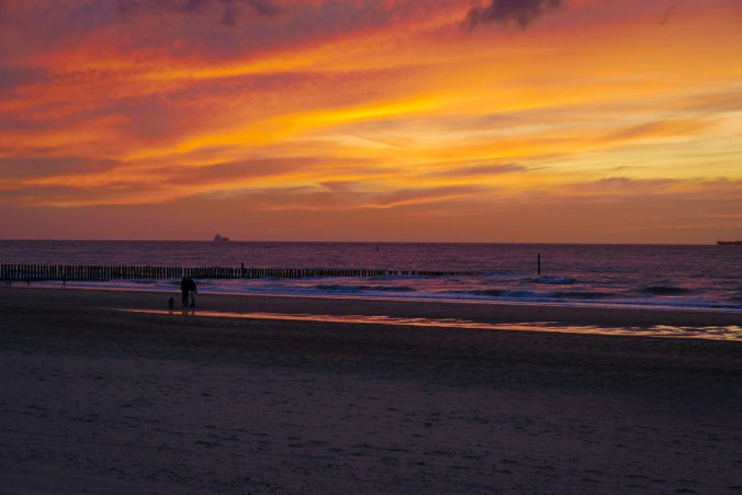 ...in jeder Einstellungsgröße