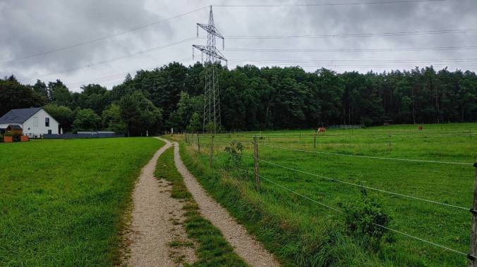 Die Laufwoche mit 38 km im Regen abgeschlossen