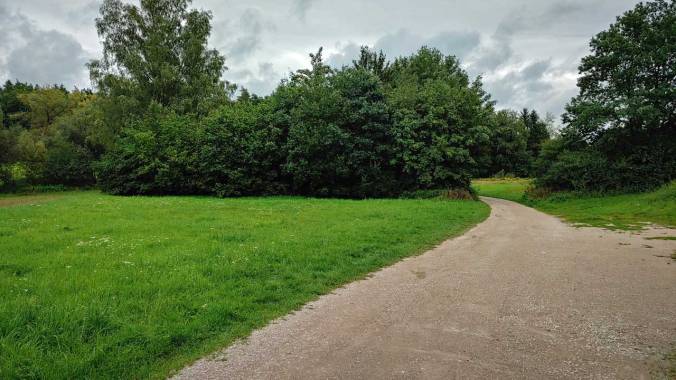 Mit neuen Laufschuhen die 200 km im August vollgemacht