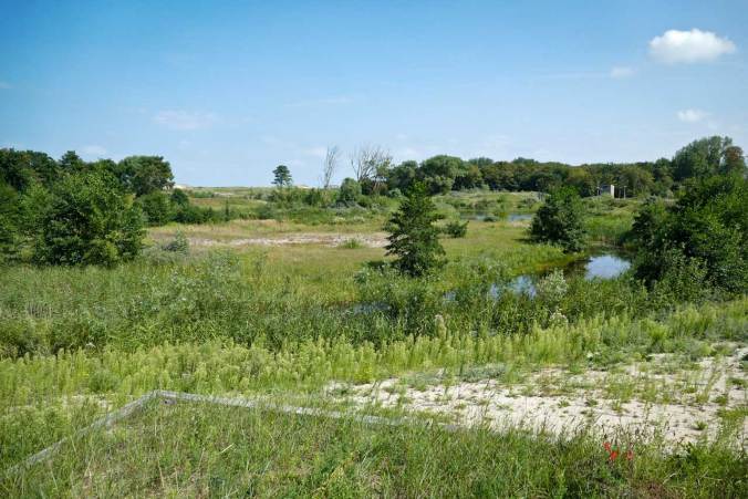 Ein Blick auf das Ökosystem des Naturpark ZWIN
