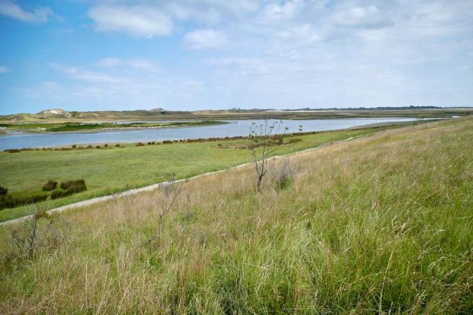 Ein Blick über den Lebensraum unzähliger Tiere