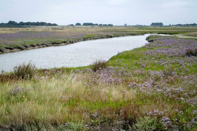 Einer der natürlichen Wasserläufe im Marschgebiet