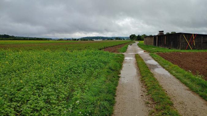 90 Minuten Dauerregen und Wespenstich bei Kilometer 10. Natürlich in den Oberschenkel.