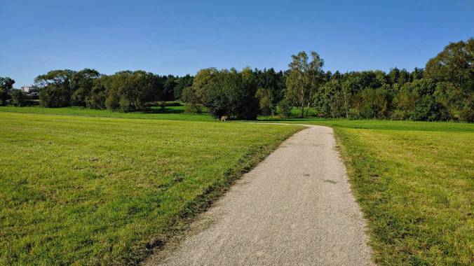 Sehr, sehr anstrengende Woche, sehr, sehr müder Lauf ins Wochenende