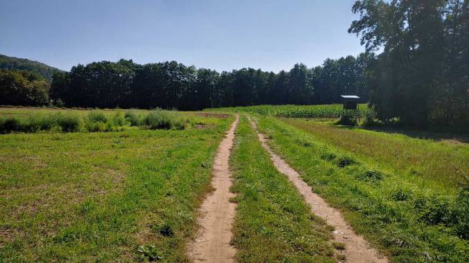 Heißer Samstagslauf