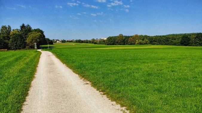 Kurzer Mittagslauf zwischen verschiedenstem Wahnsinn