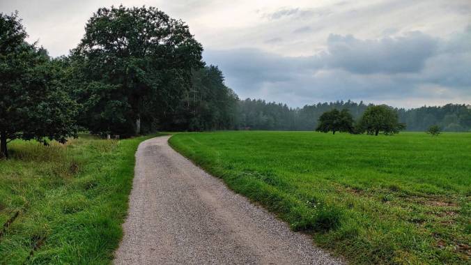 Abendlauf zum Nachdenken