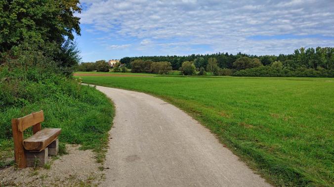 Entspannter Sonntagslauf nach feuchtfröhlichem Abend