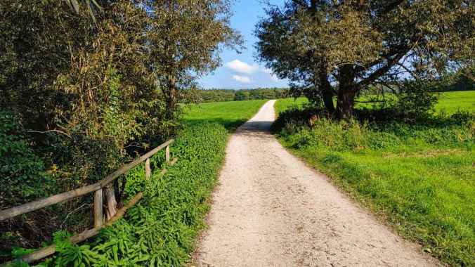 Heute mal wieder etwas schneller unterwegs gewesen