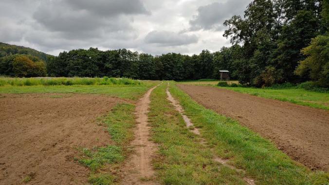 Mit 237 km im September endet mein bisher bester Laufmonat dieses Jahr