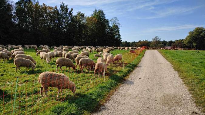 Morgenlauf zu den ersten 10 km im Oktober