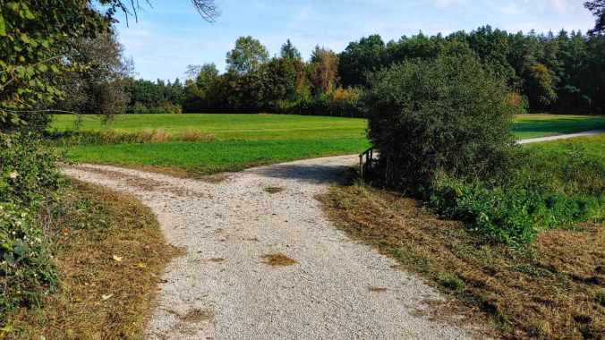 Sonniger Mittagslauf