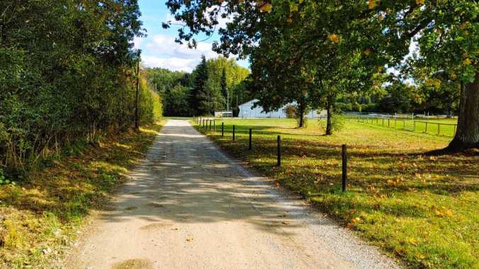 Späte Mittagsrunde im Sonnenschein