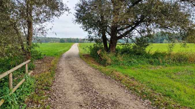 Laufen nach Boxen war heute doppelt hart