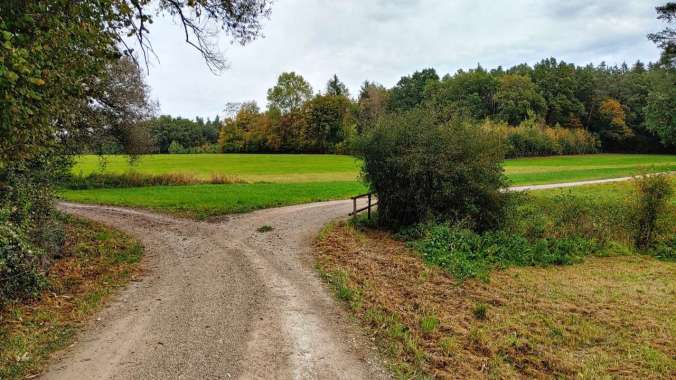 Regnerischer Feierabendlauf