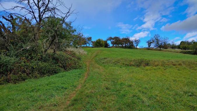 Fies, fieser, Höhenmeter und damit mein Jahresziel von 2.023 km erreicht