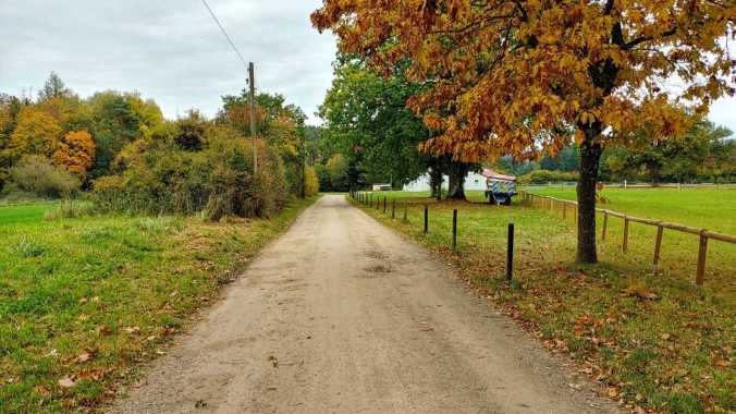 Mittagslauf im Herbstwetter