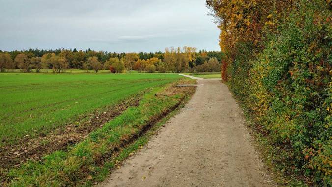 Langsamer Lauf nach Impfung zu den 200 km im Oktober