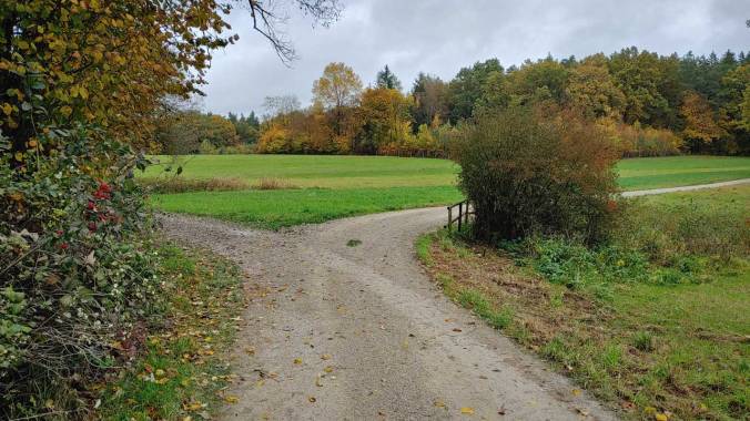 221 km sind es im Oktober geworden, heute im Regen