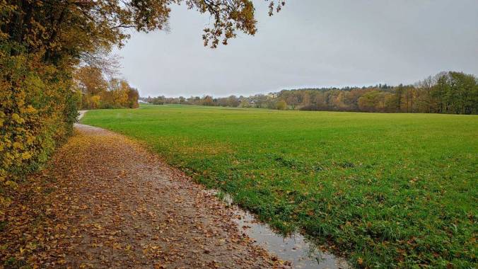 Regnerischer Herbstlauf
