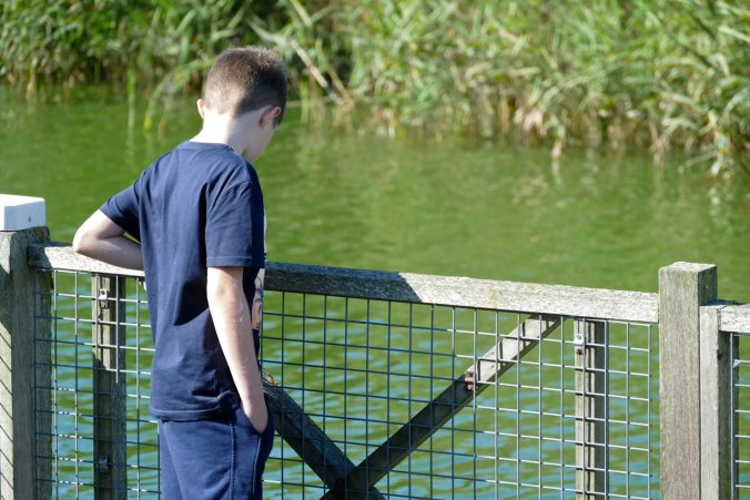 Der Zwergofant begrüßt seine neuen Freunde