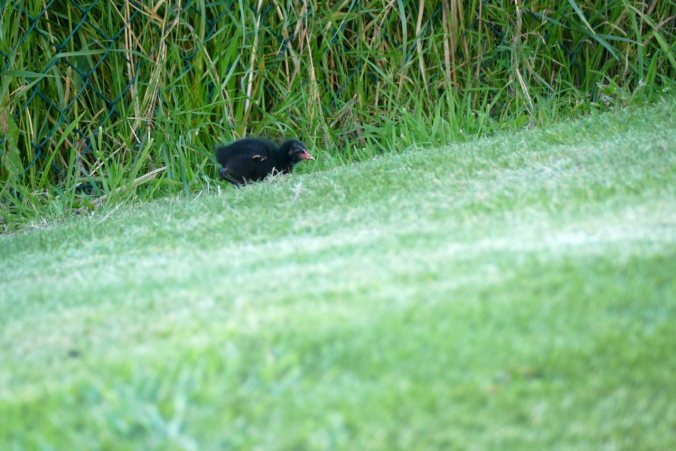 Wenn ich ganz ruhig bin, vielleicht sieht mich dann niemand?