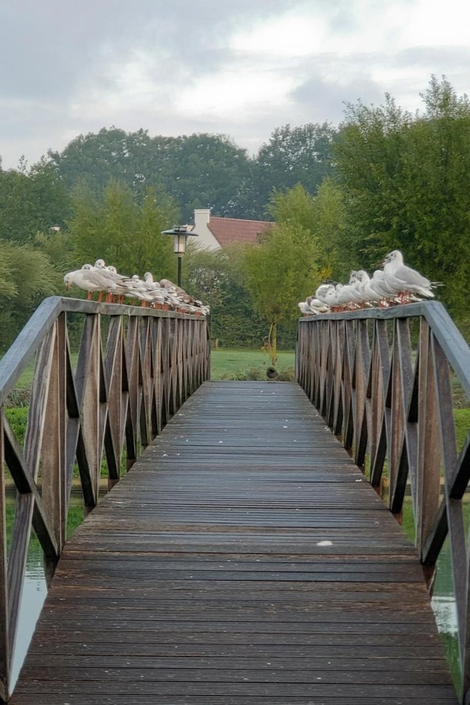 Mein Abschiedskomitee am letzten Tag
