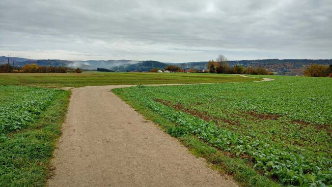 Müder Morgenlauf