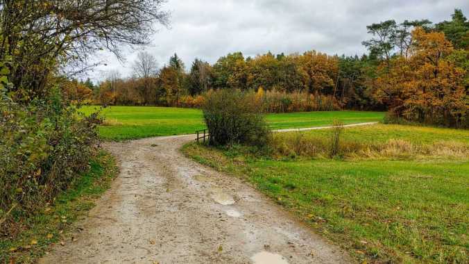 Etwas gehetzter Mittagslauf