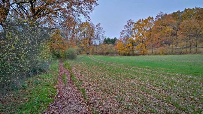 Später Samstagslauf nach vollem Tag