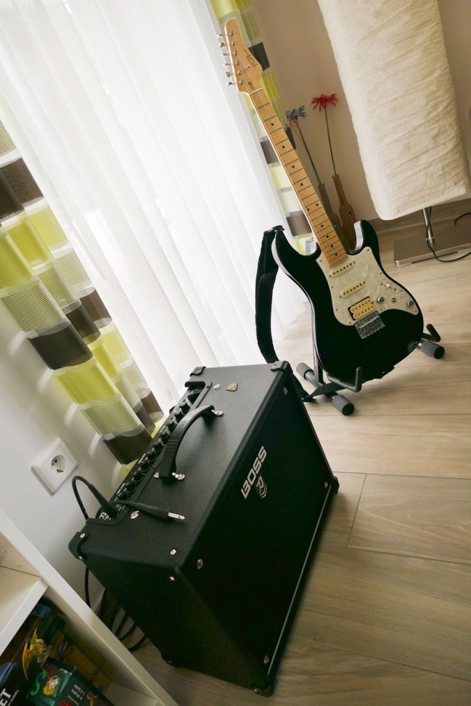 E-Gitarre samt Verstärker war das Hauptgeschenk für den Zwergofanten