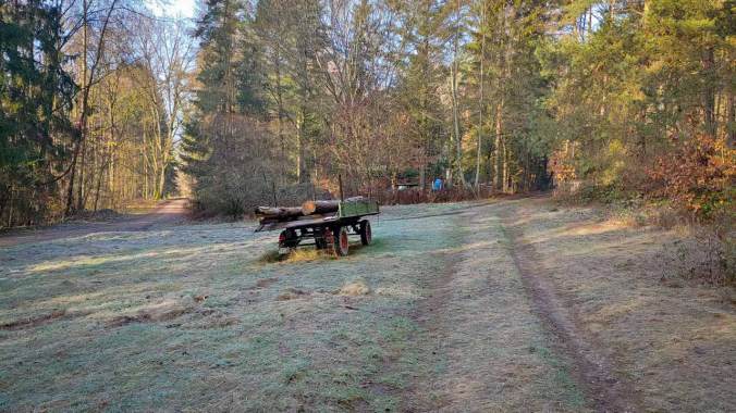 Sonniger Sonntagslauf zu den 100 km im Dezember