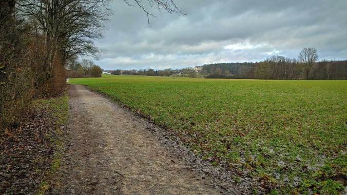 Mit dem (voraussichtlich) letzten Lauf des Jahres die 2.500 km vollgemacht