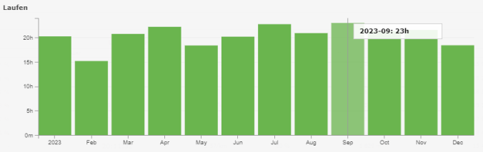 245 Stunden auf den Beinen (Quelle: RUNALYZE)